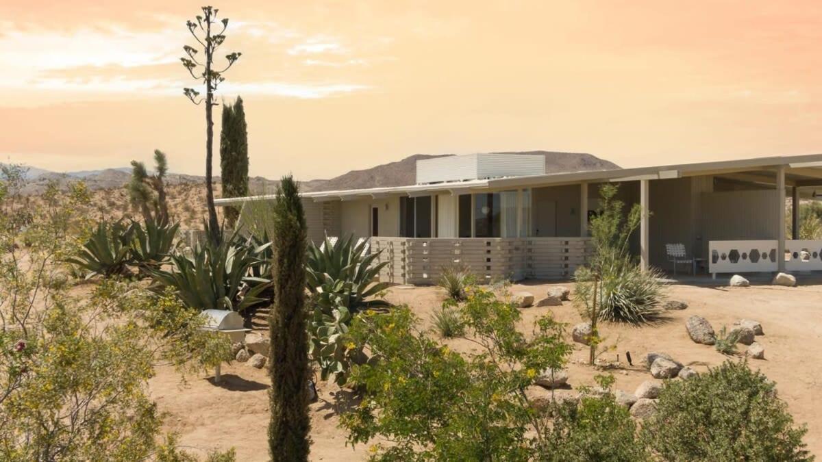 The Bungalows By Homestead Modern Joshua Tree Exteriér fotografie