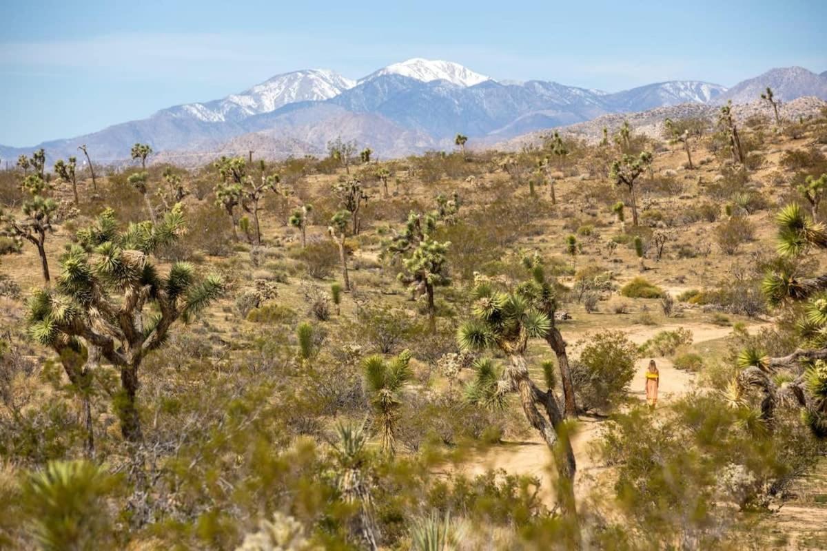 The Bungalows By Homestead Modern Joshua Tree Exteriér fotografie