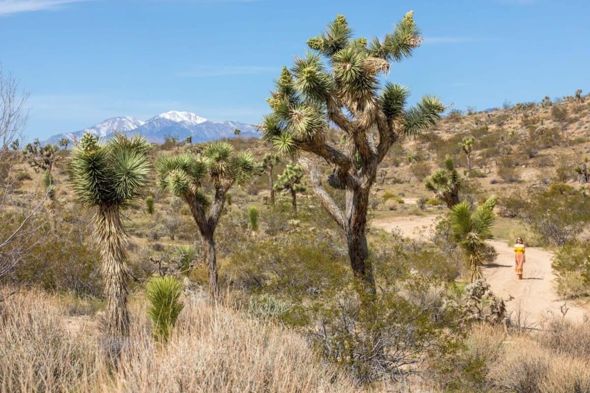 The Bungalows By Homestead Modern Joshua Tree Exteriér fotografie