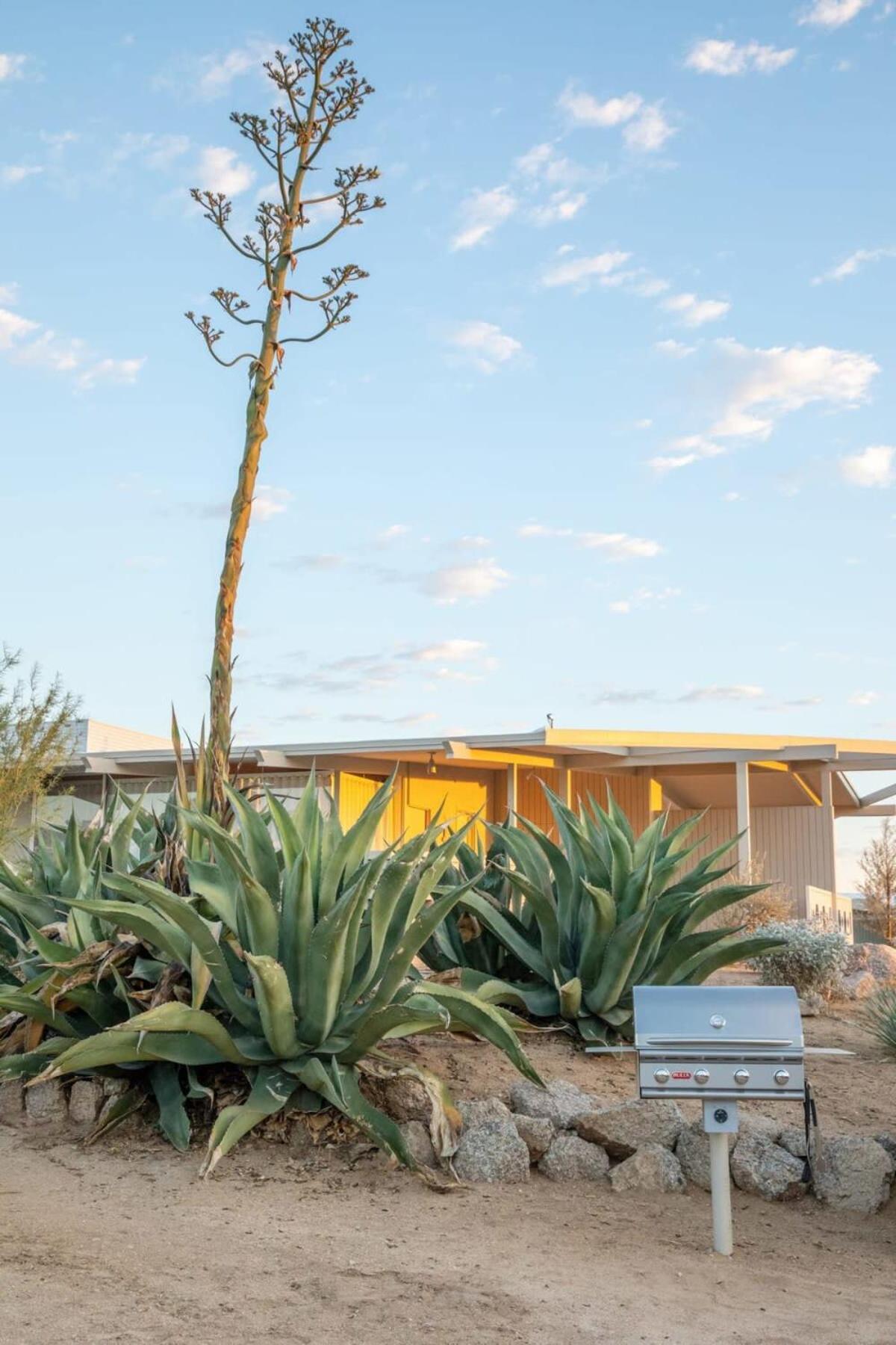 The Bungalows By Homestead Modern Joshua Tree Exteriér fotografie
